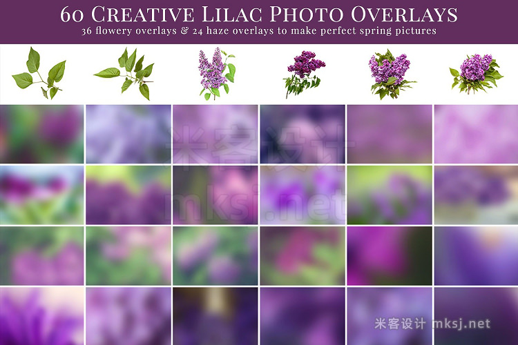 png素材 Dreamy Lilac photo overlays