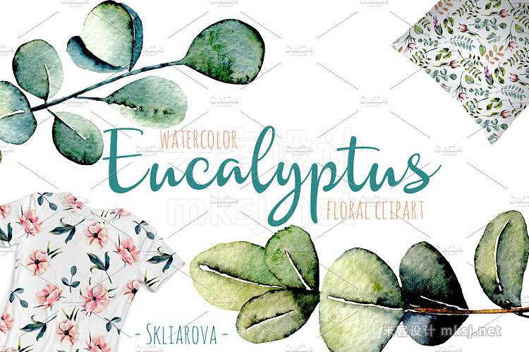 png素材 Eucalyptus watercolor clipart