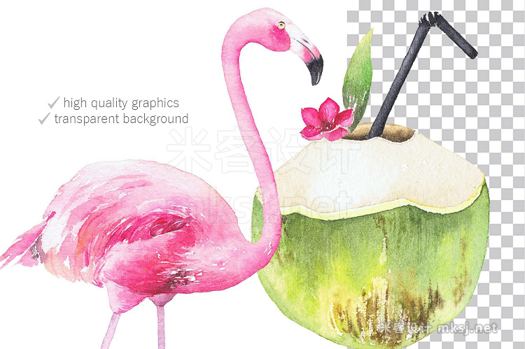 png素材 Watercolor Tropical set