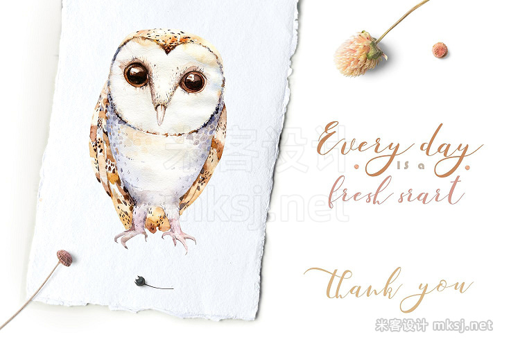 png素材 Watercolor cute owls II