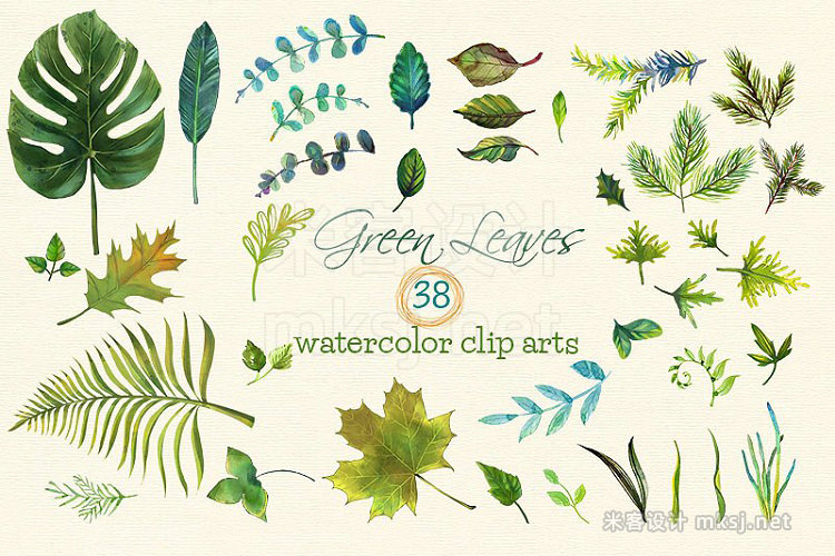 png素材 38 Green Leaves Watercolor Clip Arts