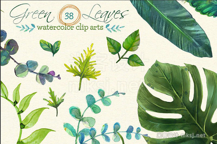 png素材 38 Green Leaves Watercolor Clip Arts