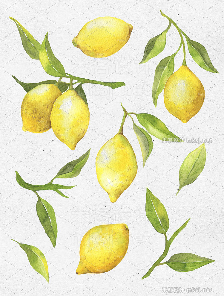 png素材 Lovely Lemons Watercolor collection