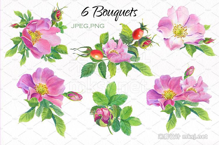 png素材 Aroma of Wild Roses Watercolor set