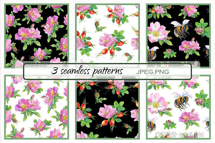 png素材 Aroma of Wild Roses Watercolor set