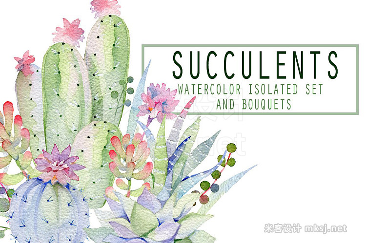 png素材 Succulents watercolor set
