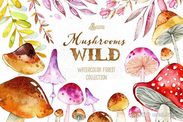 png素材 Wild Mushrooms Forest Collection