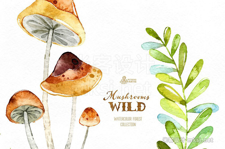 png素材 Wild Mushrooms Forest Collection