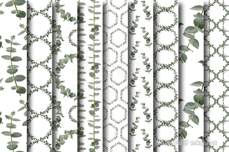 png素材 Eucalyptus Seamless Patterns