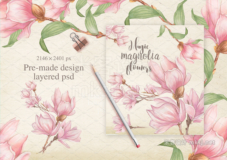 png素材 Magnolia flowers