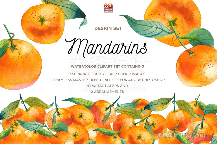 png素材 Mandarins Watercolor Set
