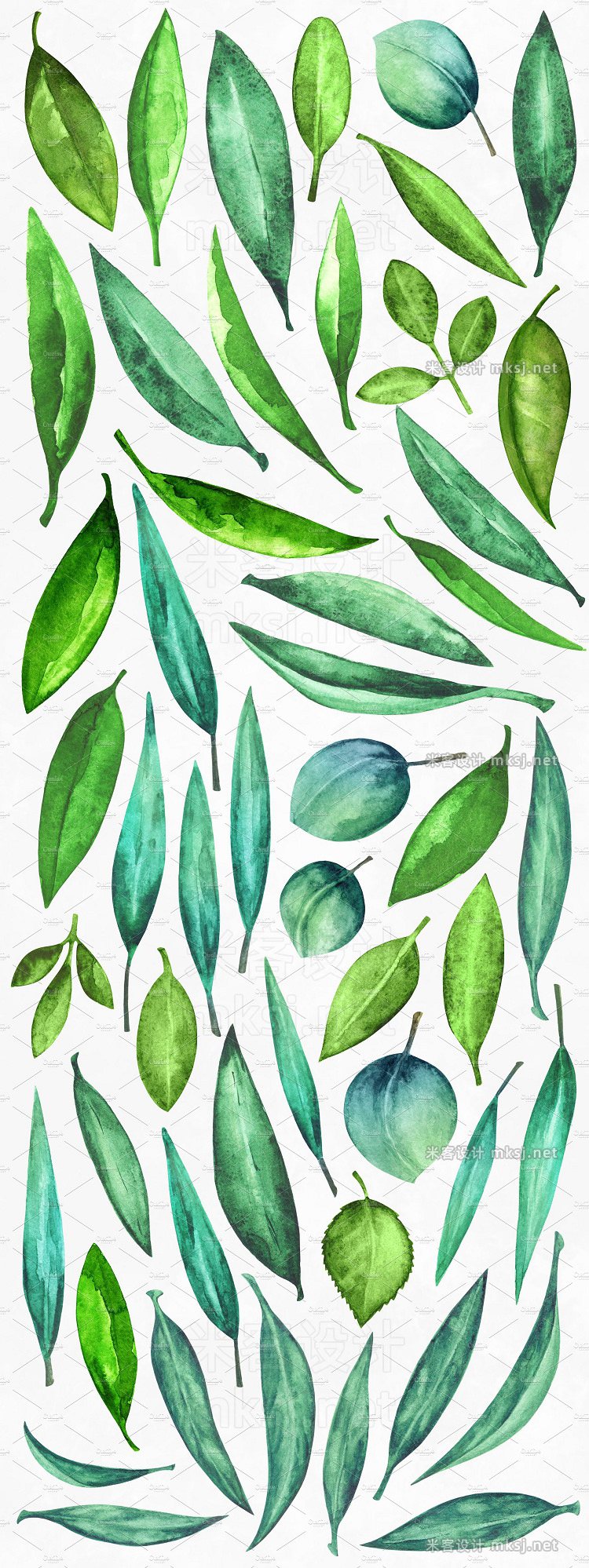 png素材 Watercolor Green Leaves