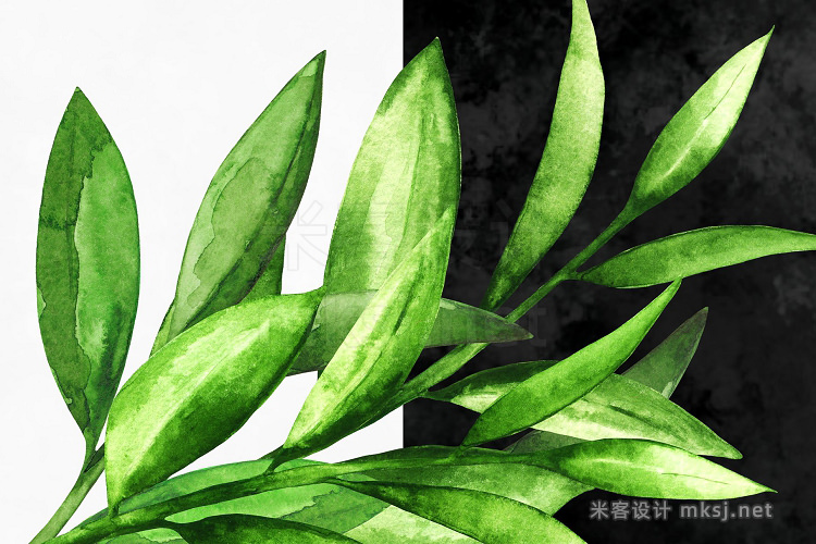 png素材 Watercolor Green Leaves