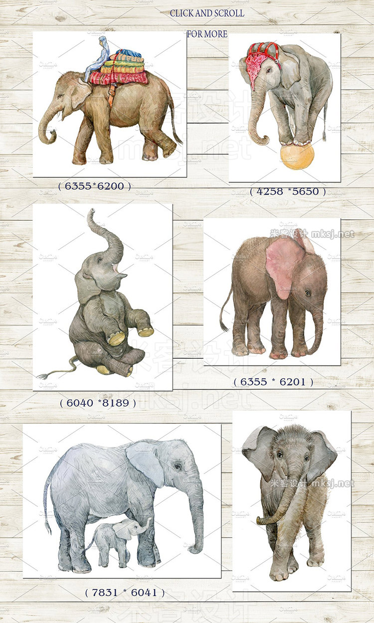 png素材 Elephants watercolor illustrations