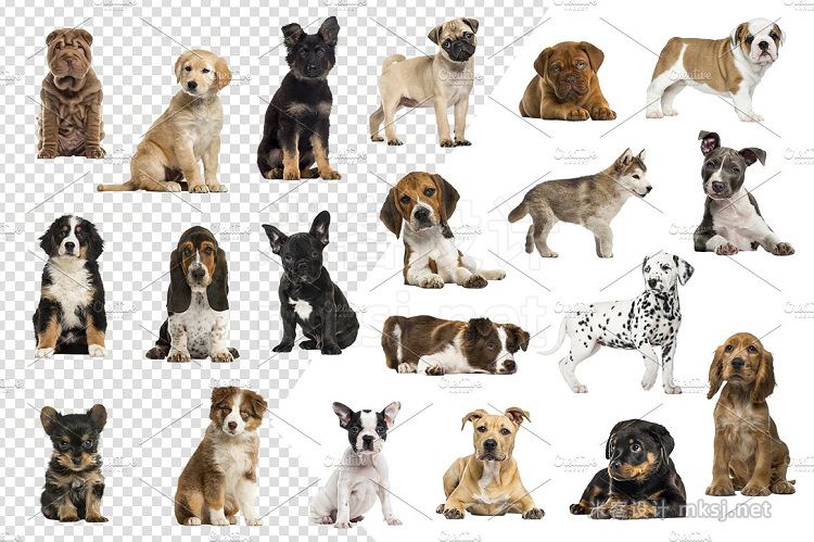 png素材 20 Puppies - Cut-out Pictures