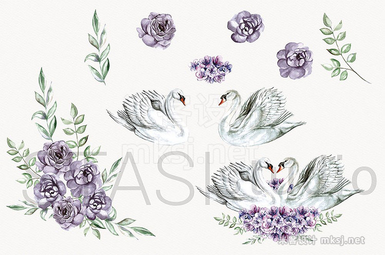 png素材 Watercolor White Swan Clipart