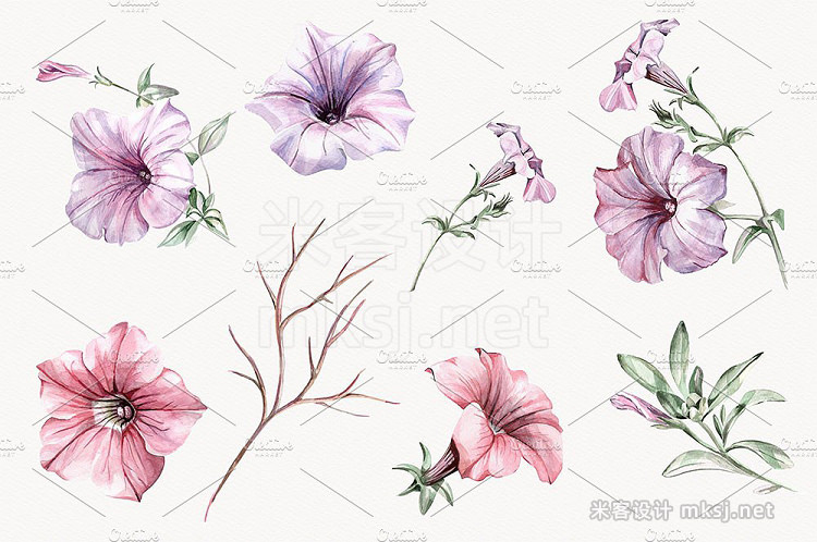 png素材 Watercolor Clipart Petunias