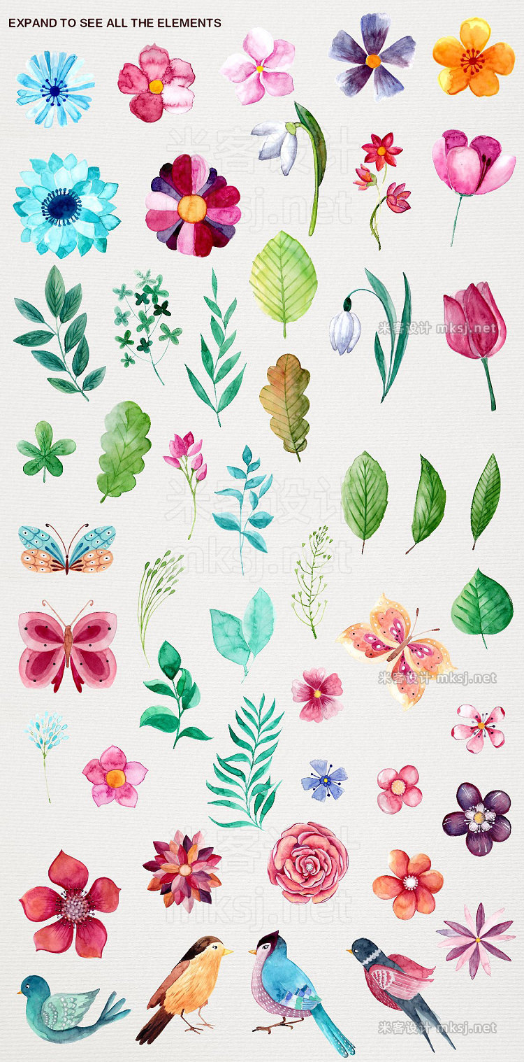 png素材 Watercolor Spring Flowers