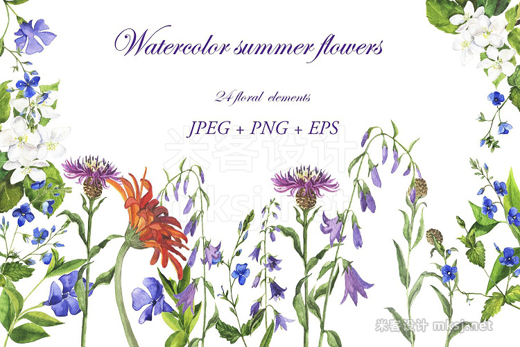 png素材 Watercolor summer flowers