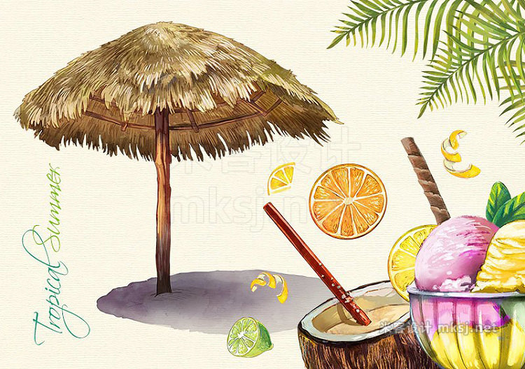 png素材 Tropical Summer Watercolor Clip Arts