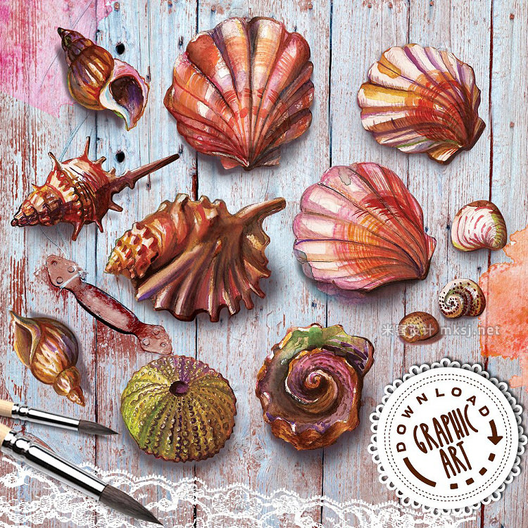 png素材 Watercolor clipart; Seashell wreath;