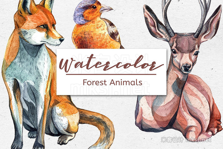 png素材 Watercolor Forest Animals – Set of 6