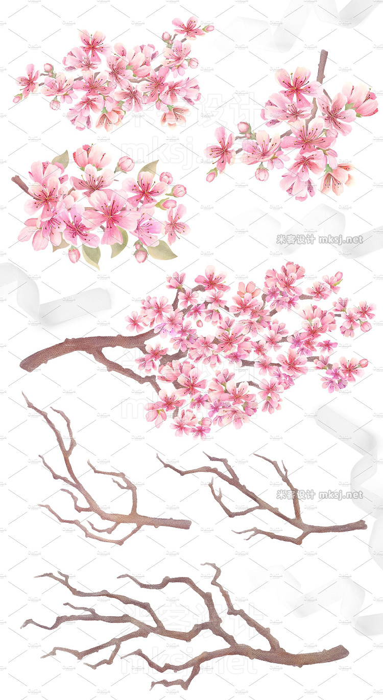 png素材 Cherry Blossom Watercolor