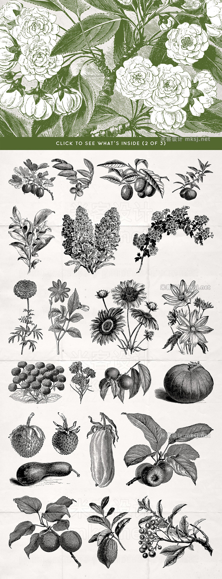 png素材 70 Flower Fruit Illustrations No3