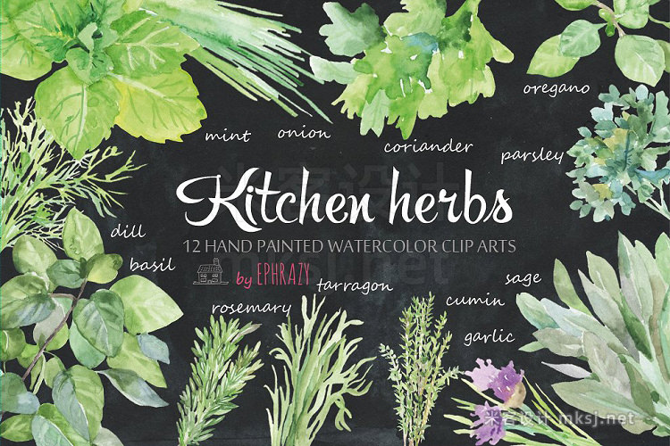 png素材 Kitchen herbs Watercolor clipart