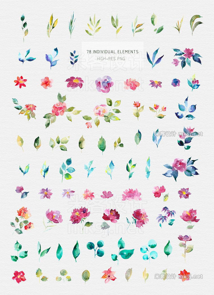 png素材 My Garden Flower Graphic Set