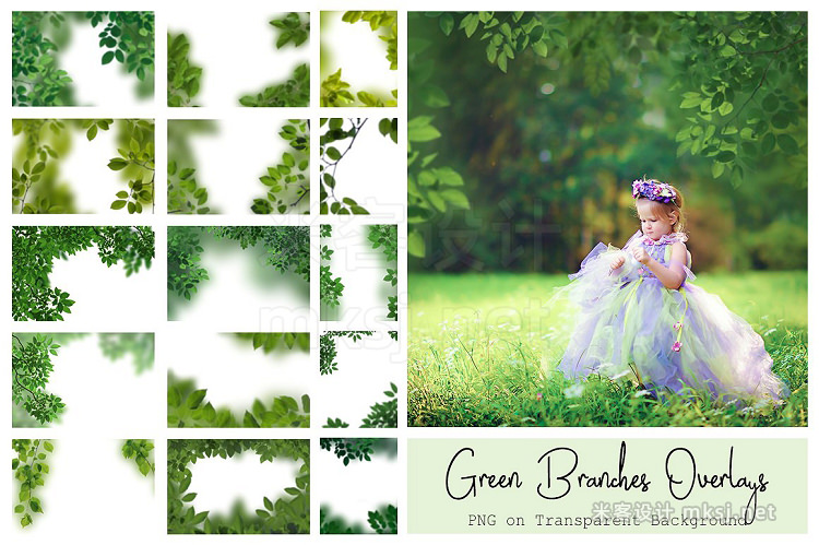 png素材 120 Green Tree Branches Overlays