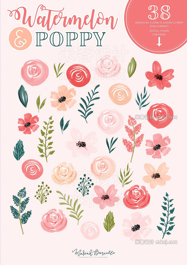 png素材 Watermelon Poppy Floral Clipart Set