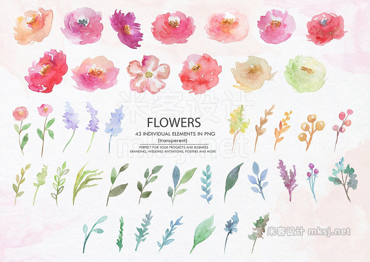 png素材 Valensia Floral clipart Watercolor