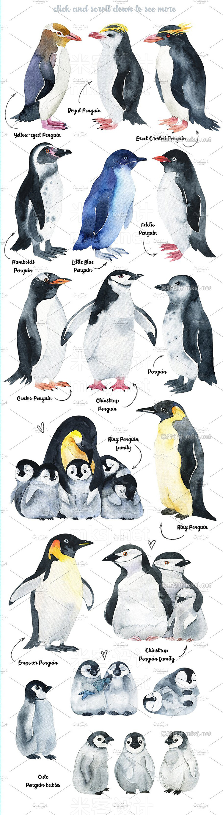 png素材 Penguins at the Pole-illustration