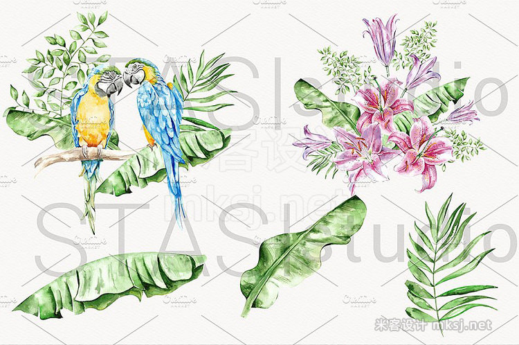 png素材 Summer Watercolor Clipart Parrot