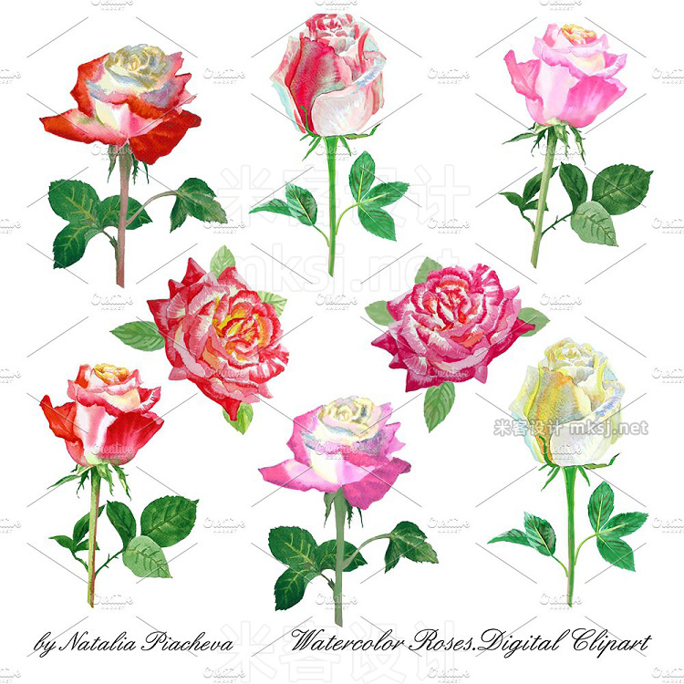 png素材 Watercolor clipart with roses