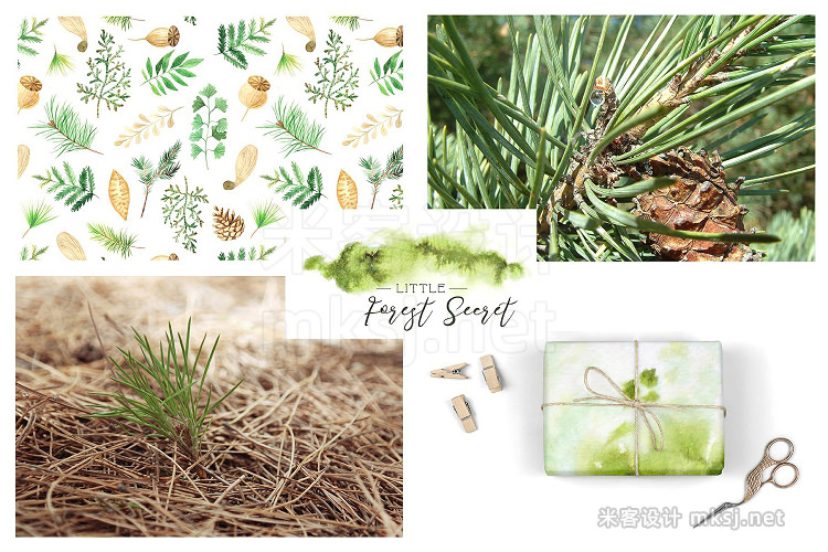 png素材 Watercolor Forest Graphic Set