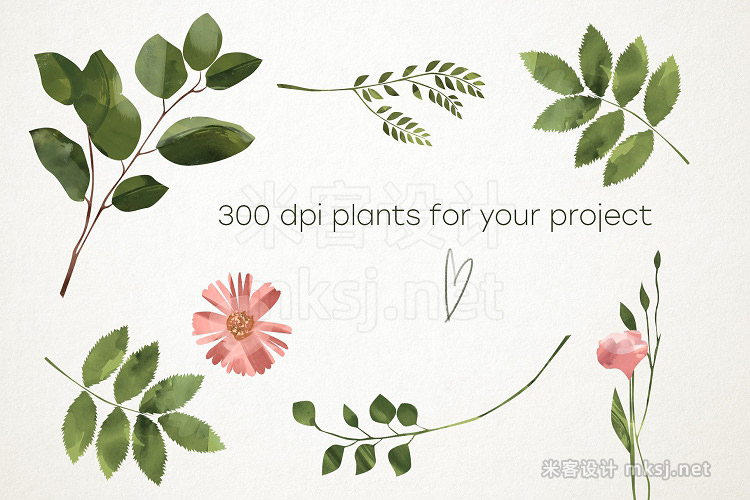 png素材 Plants Flowers