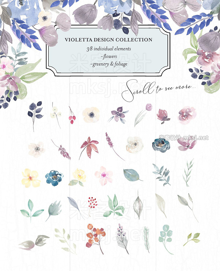 png素材 Violetta Flower Clipart and Frames