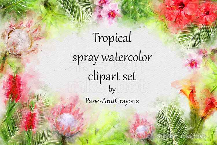png素材 Tropical Watercolor Set