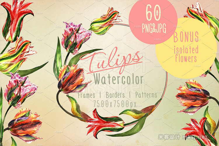 png素材 Colorful tulips JPG watercolor set