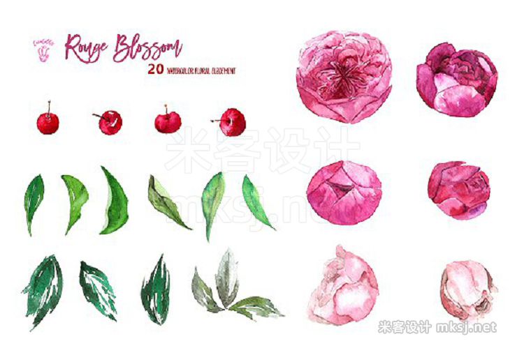 png素材 Rouge Blosssom