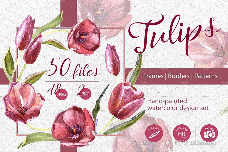 png素材 Wildflower red tulips PNG set