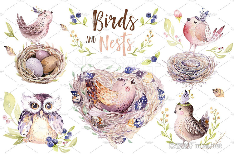 png素材 Birds and nests collection