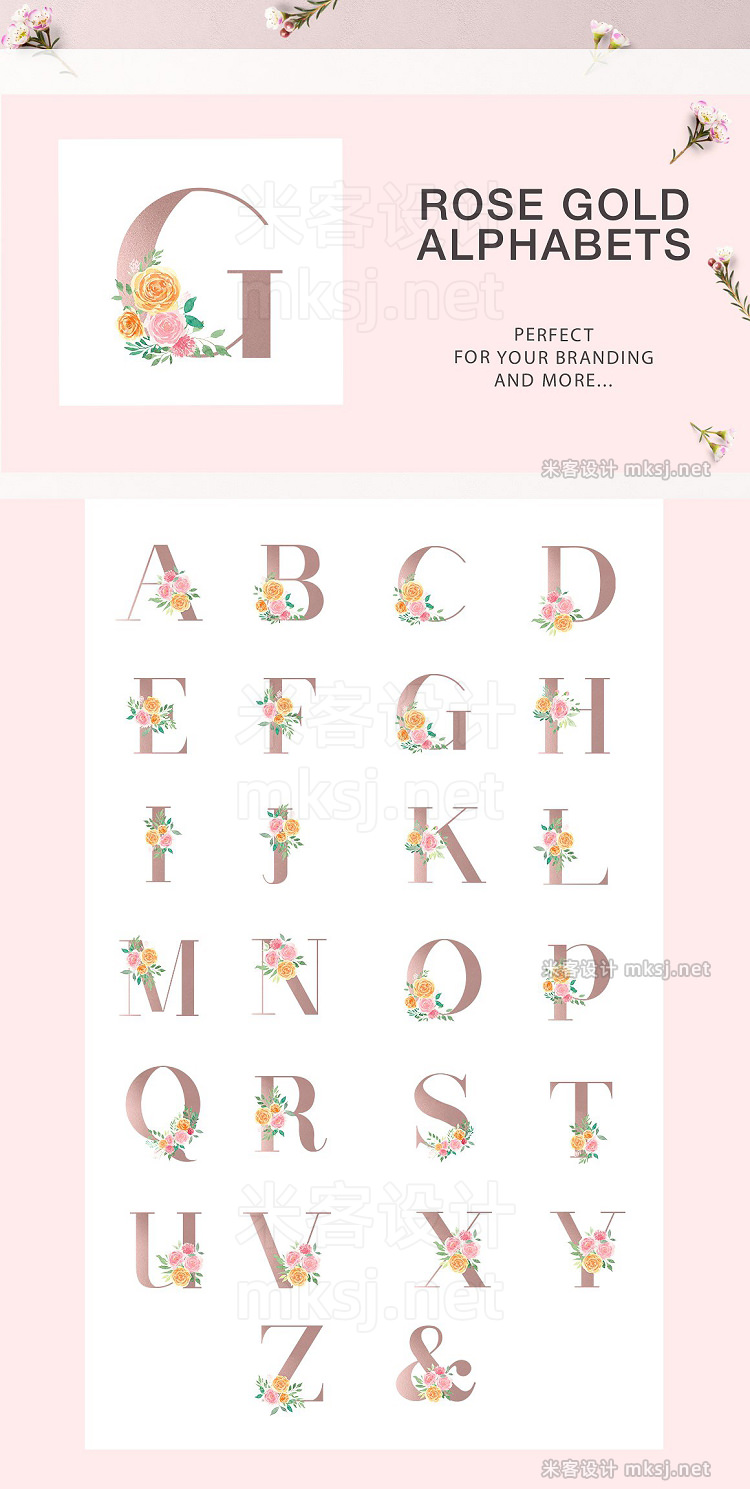 png素材 Delicate Blush - Spring Graphic set