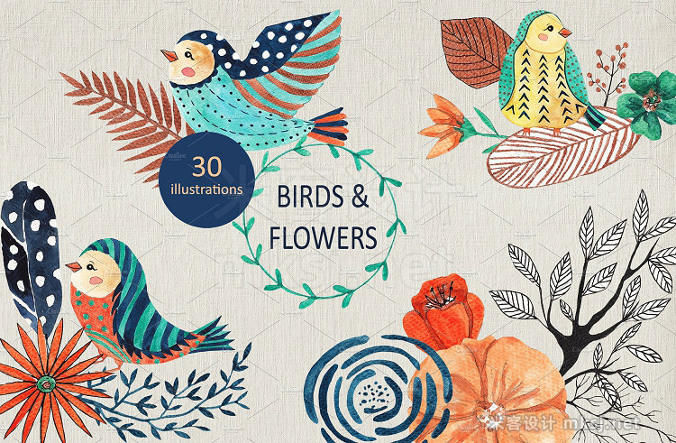 png素材 Birds flowers design set