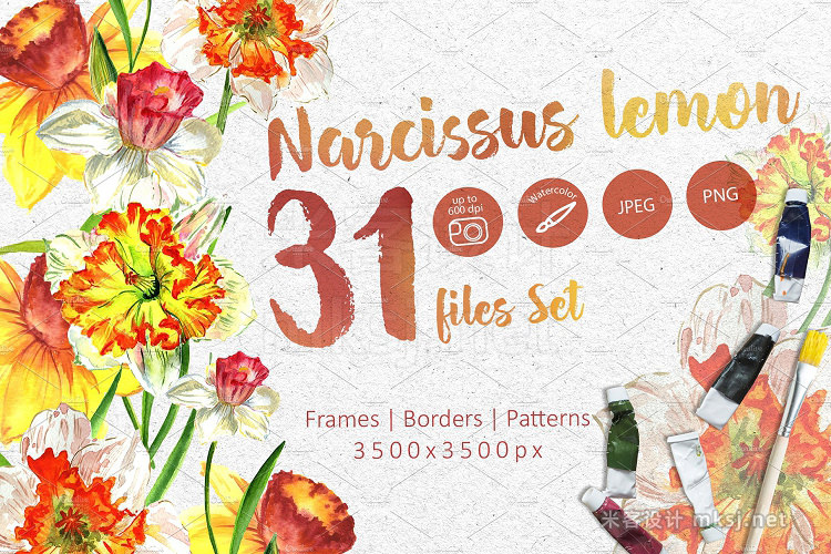 png素材 Narcissus lemon PNG watercolor set