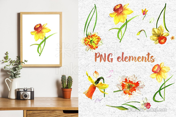 png素材 Narcissus lemon PNG watercolor set