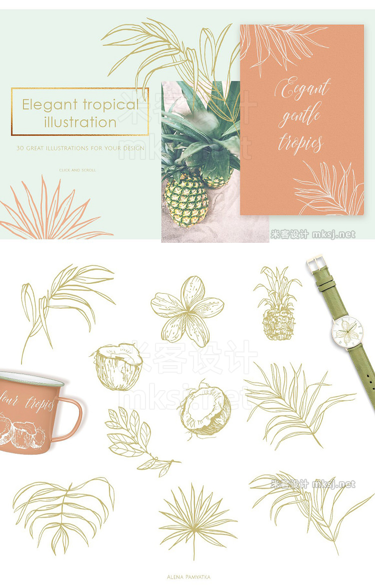 png素材 Tropical illustrations and patterns