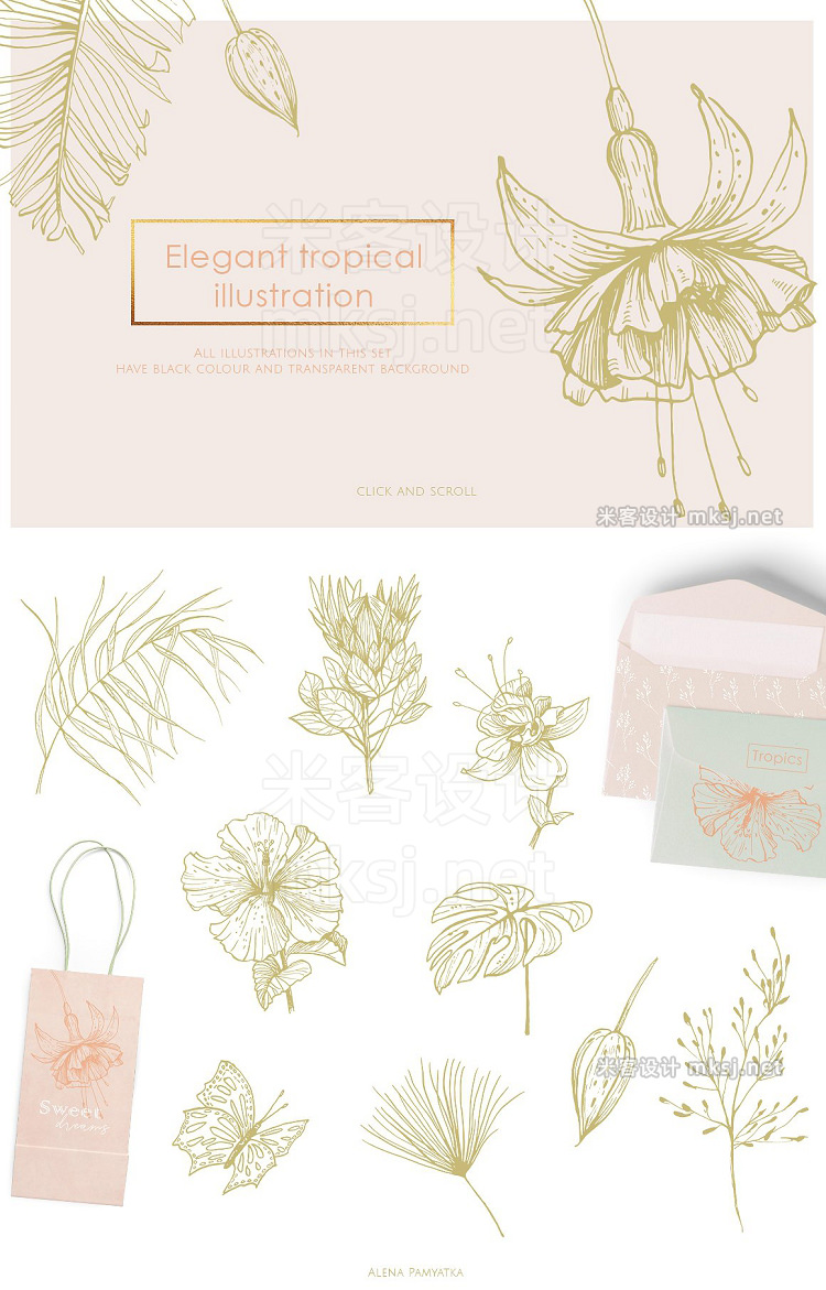 png素材 Tropical illustrations and patterns